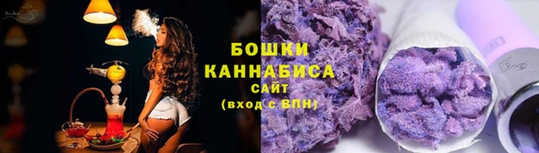 молекула духа Надым