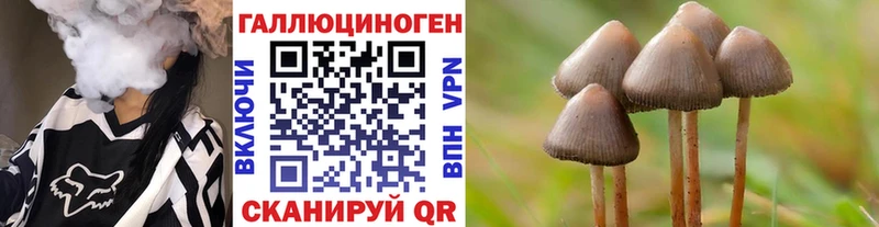 Псилоцибиновые грибы мухоморы  где можно купить наркотик  Горячеводский 